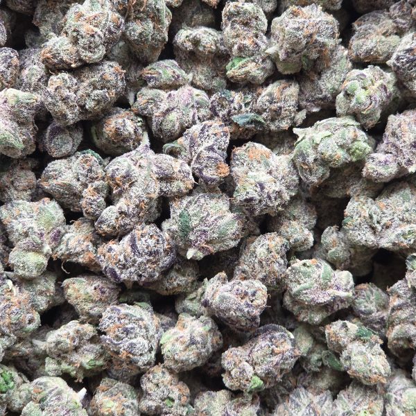 Zazooka 14g - Exotic Mediums