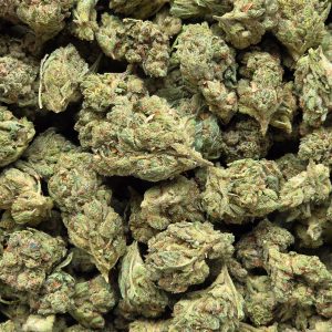 Gorilla Glue 14g - Greenhouse