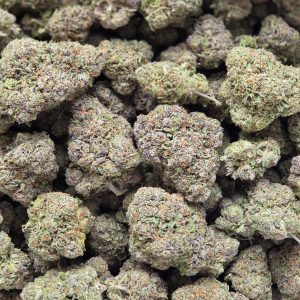 Lemon Cherry Gelato 14g - Top Shelf Indoor