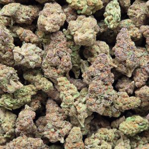 Mimosa 14g - Top Shelf Indoor