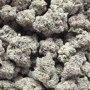 Sunset Sherbert 14g - Top Shelf Indoor