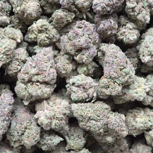 Black Garlic 14g - Top Shelf Indoor