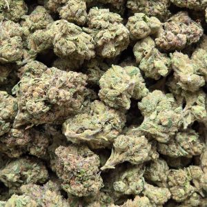 Blackberry OG 14g- Indoor