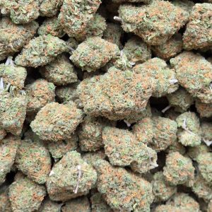 Blue Dream 14g - Indoor