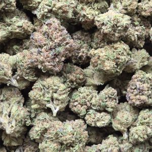 Champagne Kush 14g - Indoor