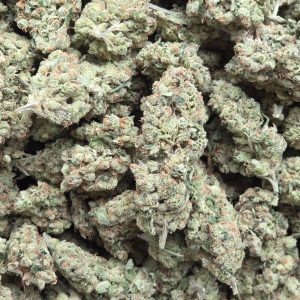 Hash Burger 14g - Indoor