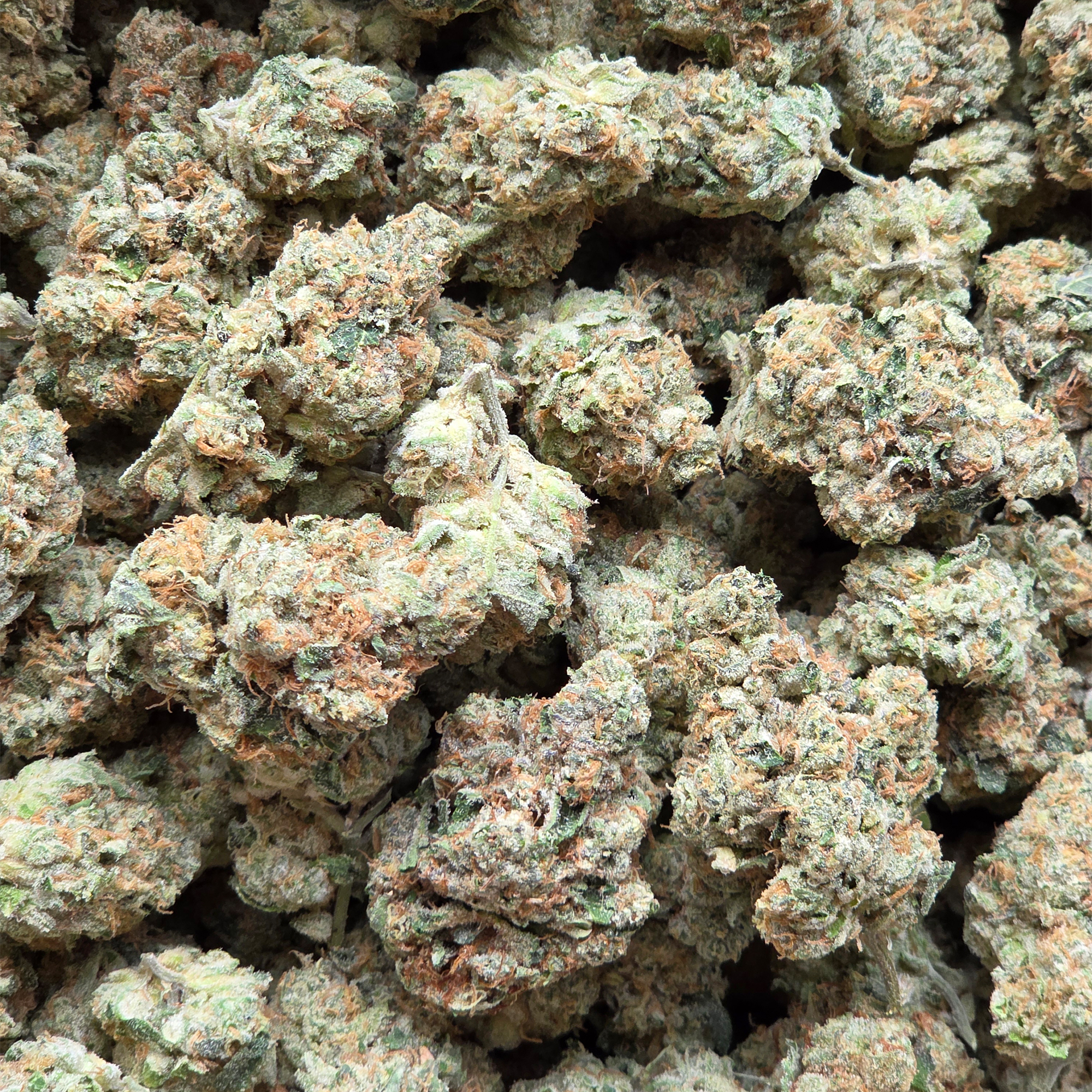 Jet Fuel 14g - Top Shelf Indoor