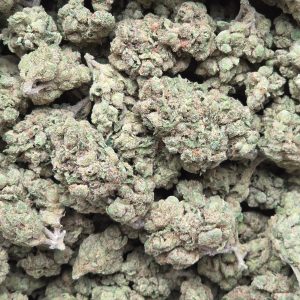 Jack Herer 14g - Indoor