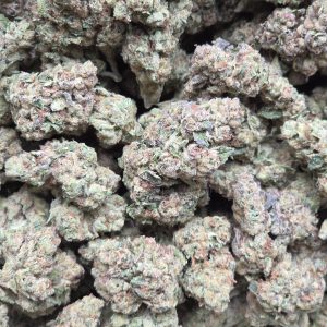 Lemon Drop 14g - Indoor