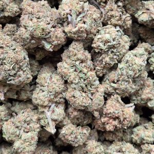 Miracle Alien Cookies 14g - Indoor