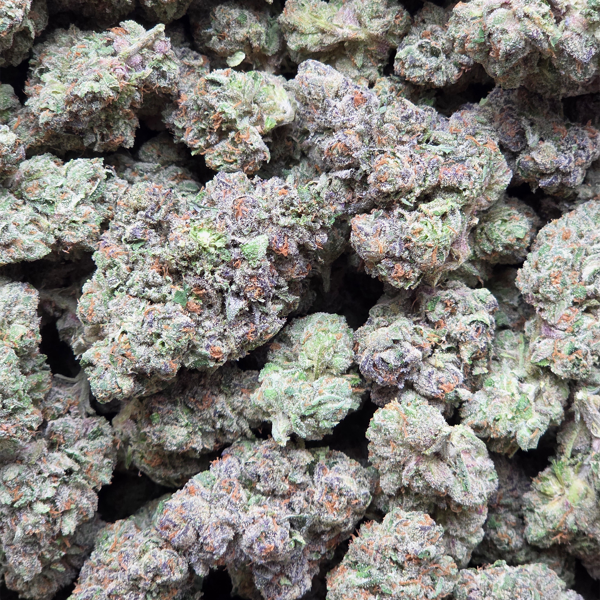 Do Si Dos 14g - Top Shelf Indoor