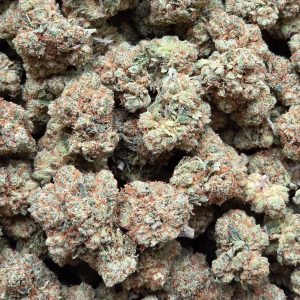 Skywalker OG 14g - Top Shelf Indoor