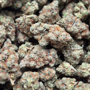 OG Kush 14g - Top Shelf Indoor