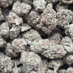 Trainwreck 14g - Indoor