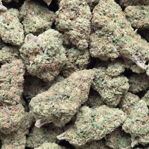 Headband 14g - Indoor