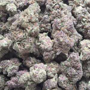 Tropicana Cookies 14g - Top Shelf Indoor