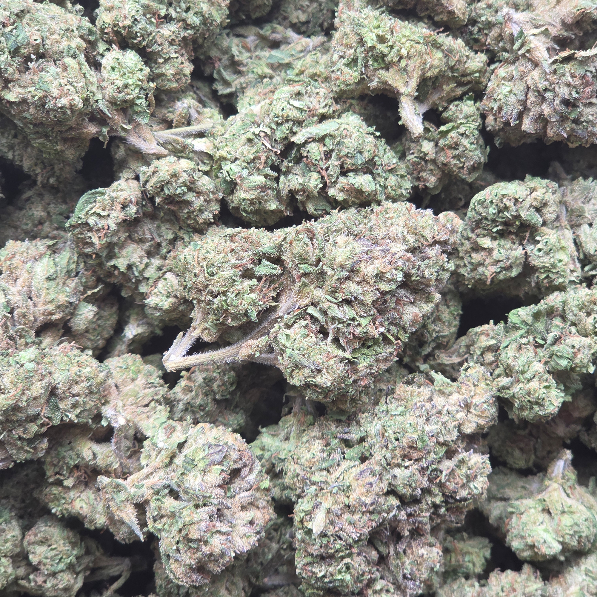 Cherry Popperz 14g - Greenhouse