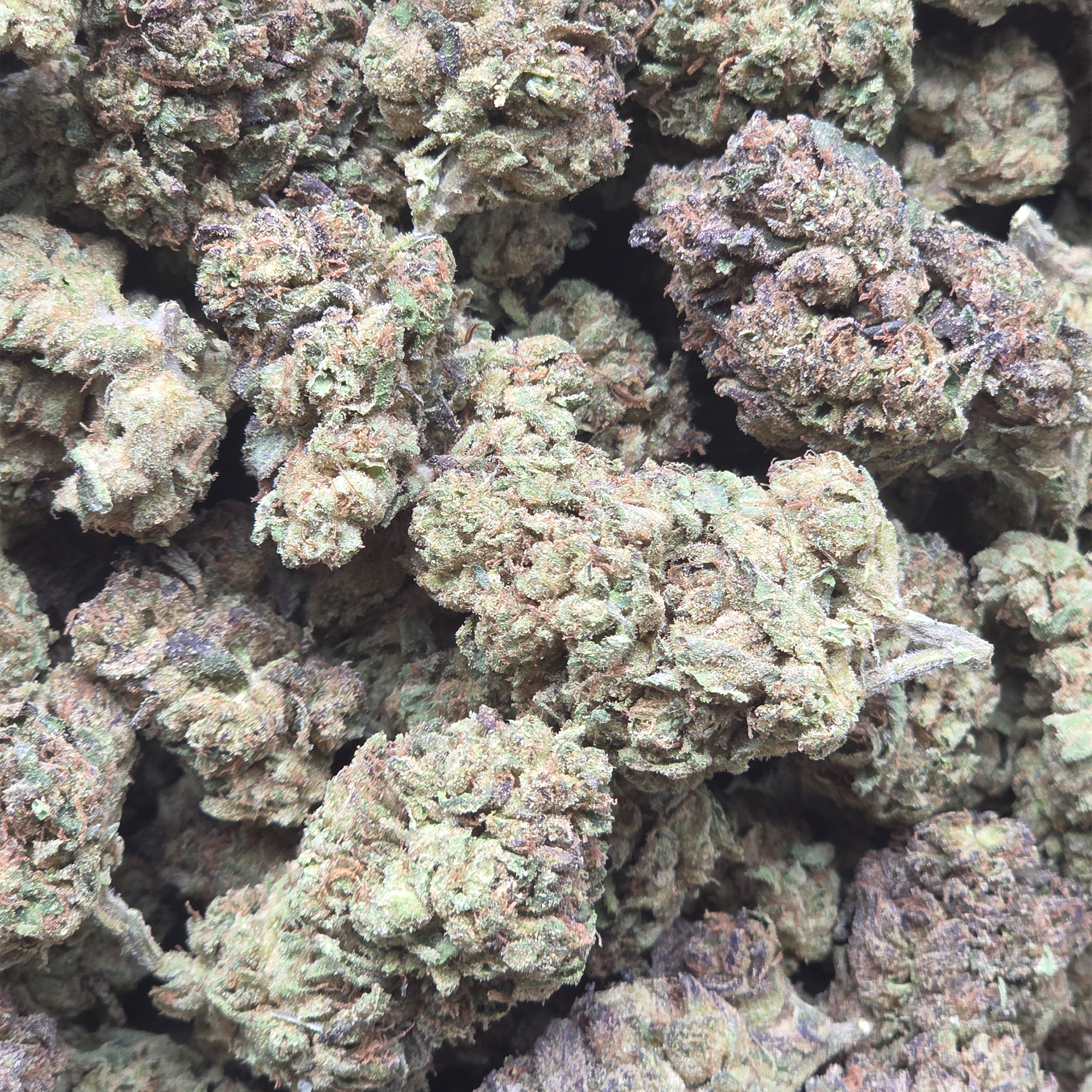 Permanent Marker 14g - Greenhouse