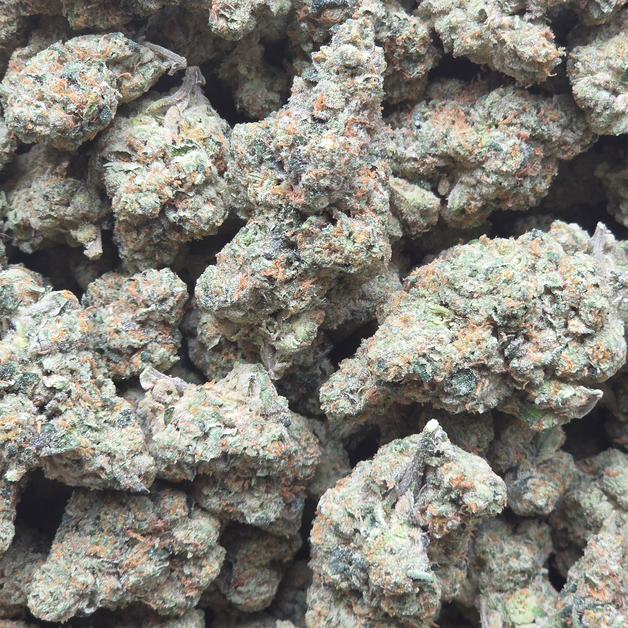 Jet Fuel 14g - Top Shelf Indoor