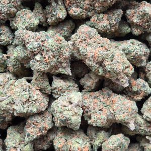 Blue Dream 14g - Indoor