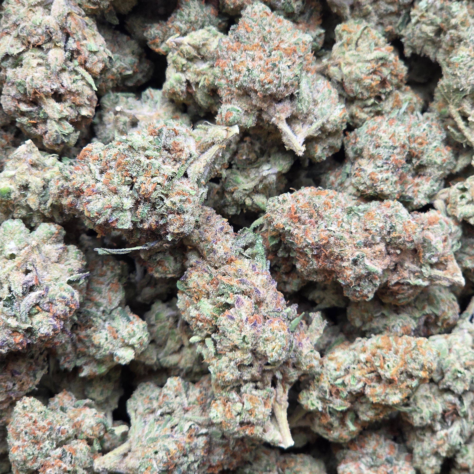 Cookies N Cream 14g - Indoor