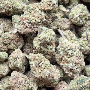 Jacks Haze 14g - Indoor