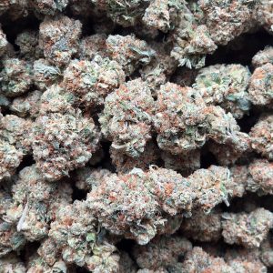 Kosher Kush 14g - Indoor