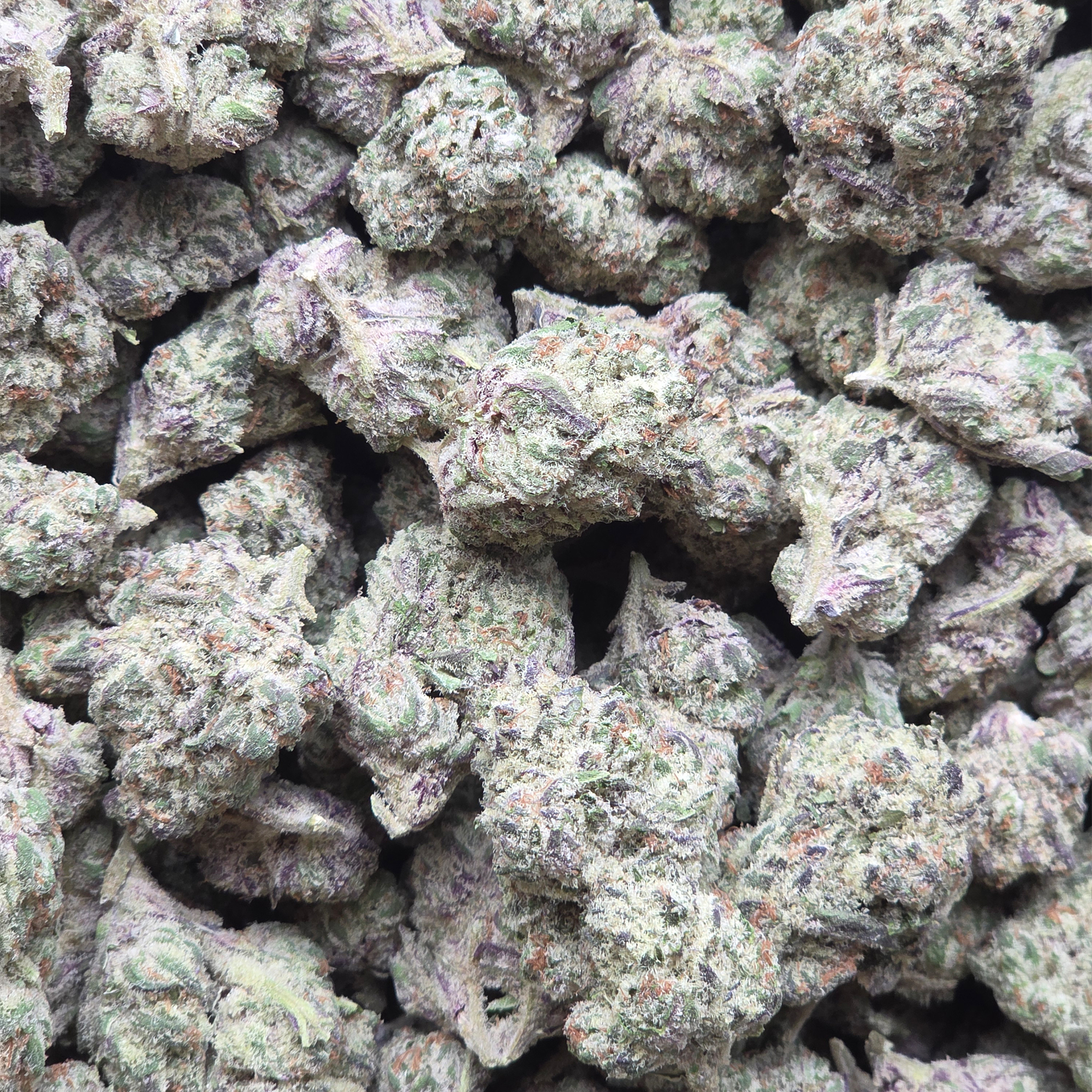 Oreoz 14g - Top Shelf Indoor