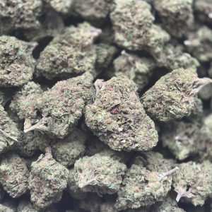 King Sherbert 14g - Greenhouse