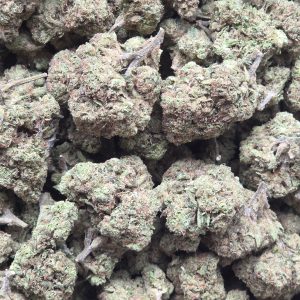 King Sherbert 14g - Greenhouse