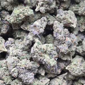 Ya Hemi 14g - Indoor