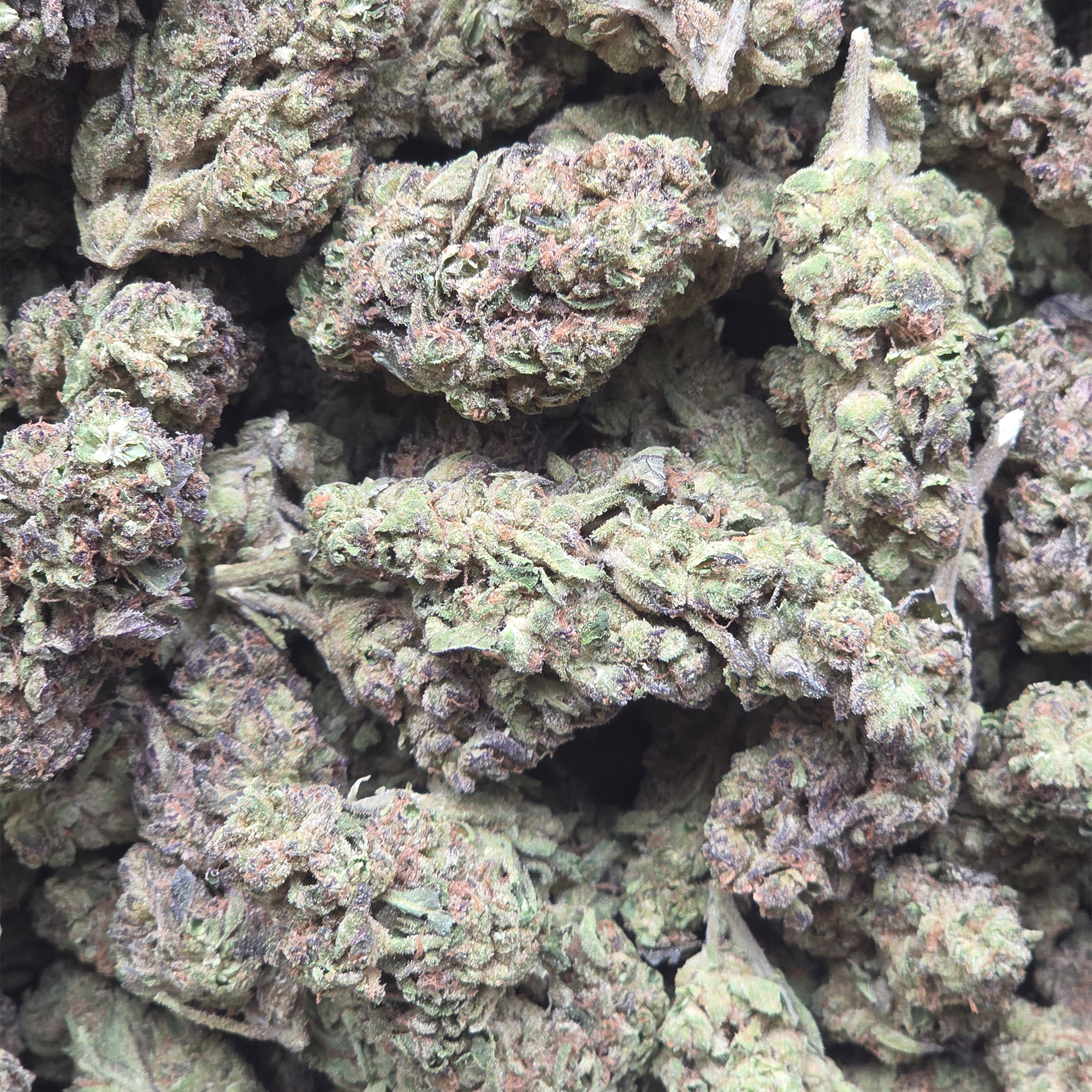 Zoap 14g - Greenhouse