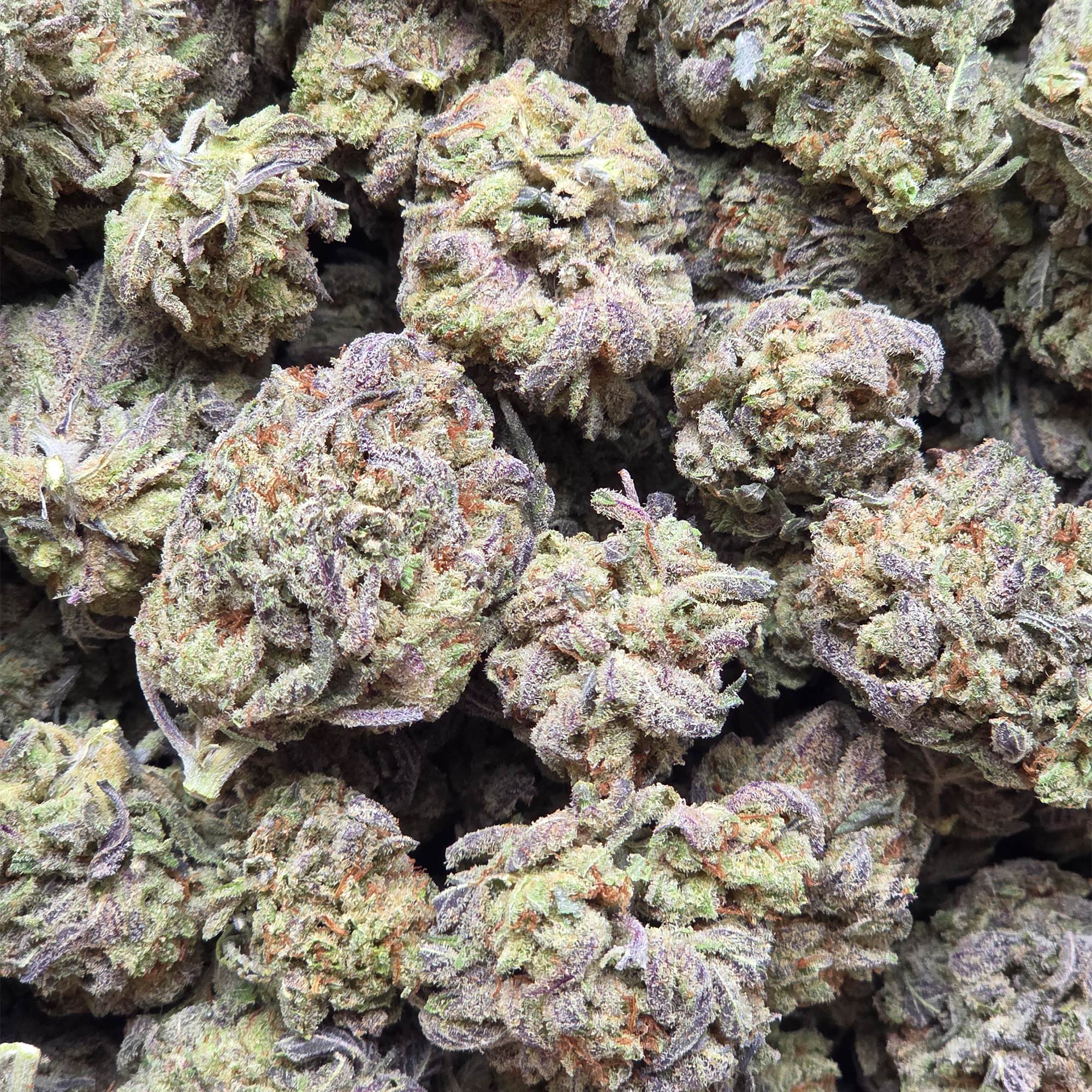 Bubba Kush 14g - Greenhouse