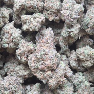 Chemdawg 14g - Top Shelf Indoor