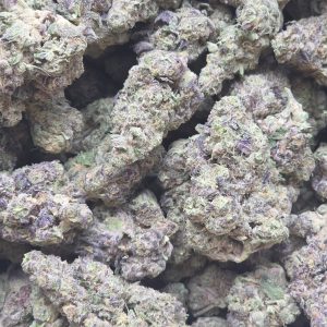 Gush Mintz 14g - Indoor