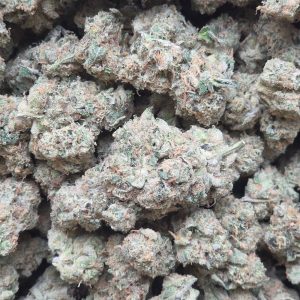 Hustler Kush 14g - Top Shelf Indoor