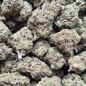 Platinum Truffle 14g - Greenhouse