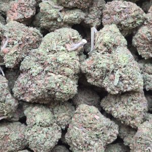 Blue Cherries 14g - Greenhouse
