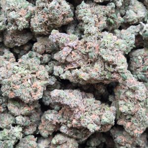 Blue Dream 14g - Top Shelf Indoor