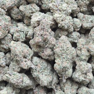 Citrus Splash 14g - Top Shelf Indoor
