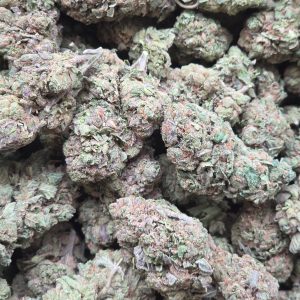 Double Glock 14g - Greenhouse