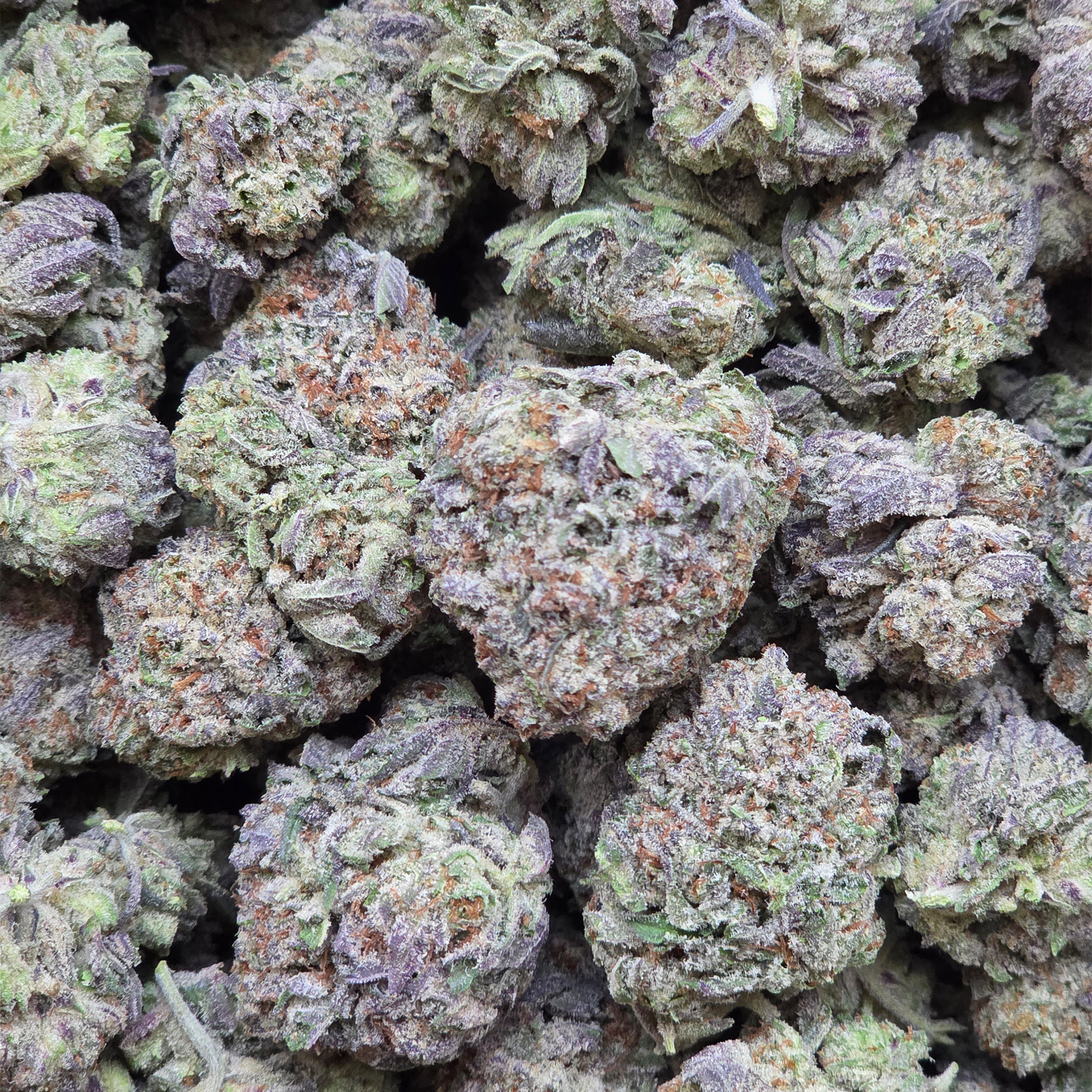 Frozen Grapes 14g - Greenhouse