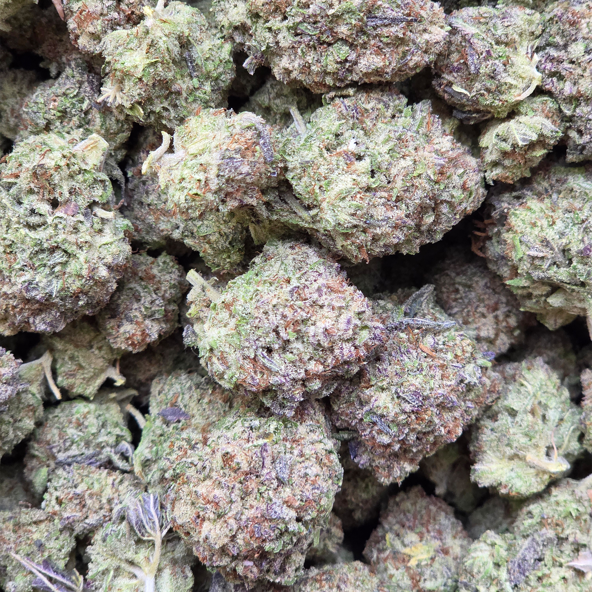 Oreoz 14g - Greenhouse