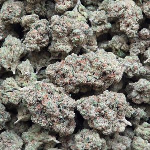 Paris OG 14g - Top Shelf Indoor