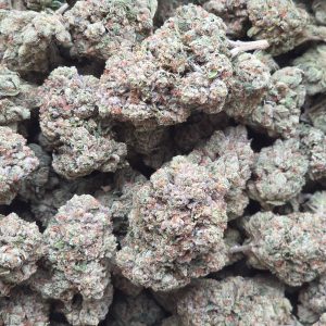 Skywalker OG 14g - Top Shelf Indoor