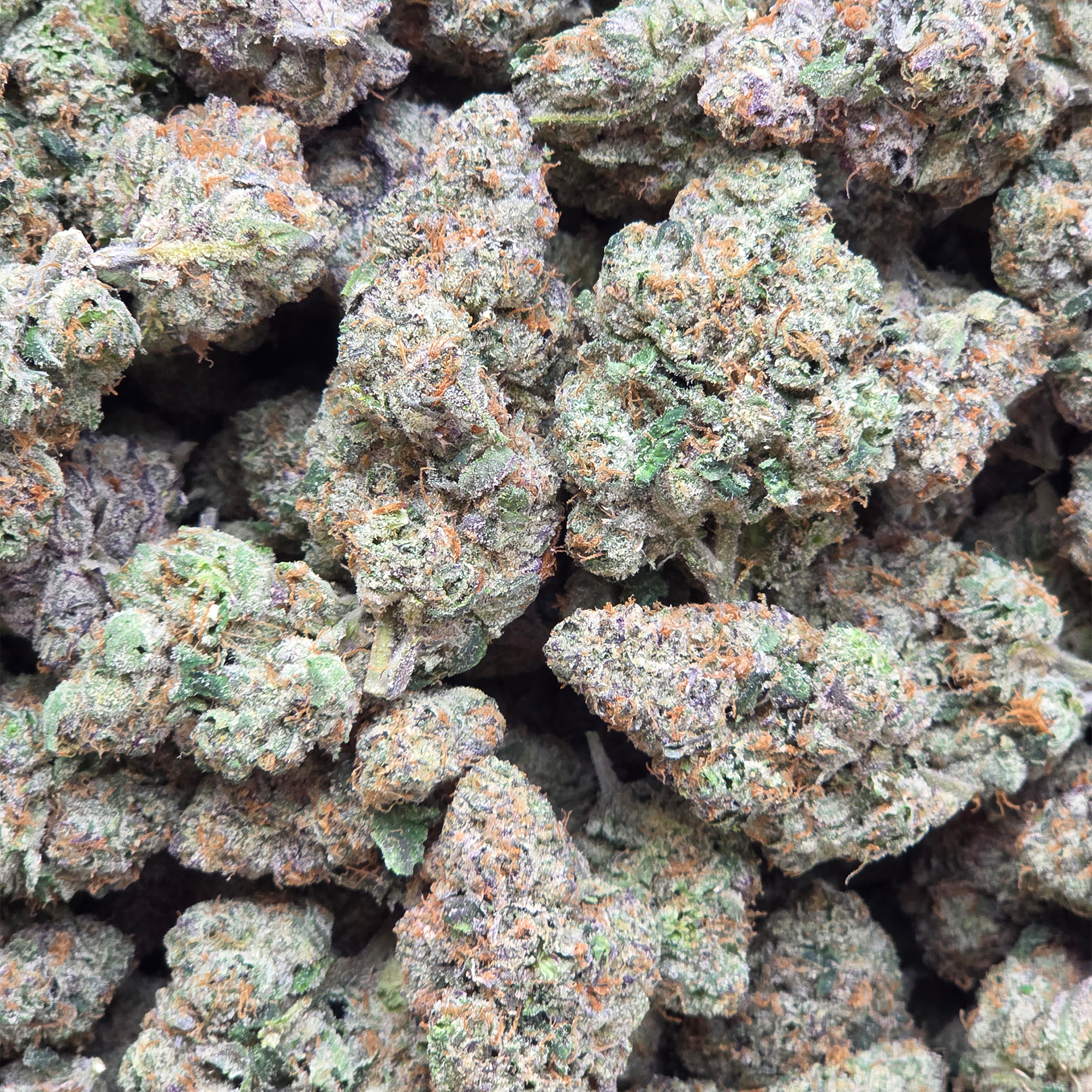 Bolo Runtz 14g - Top Shelf Indoor