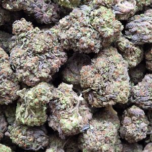 Black Ice 14g - Greenhouse