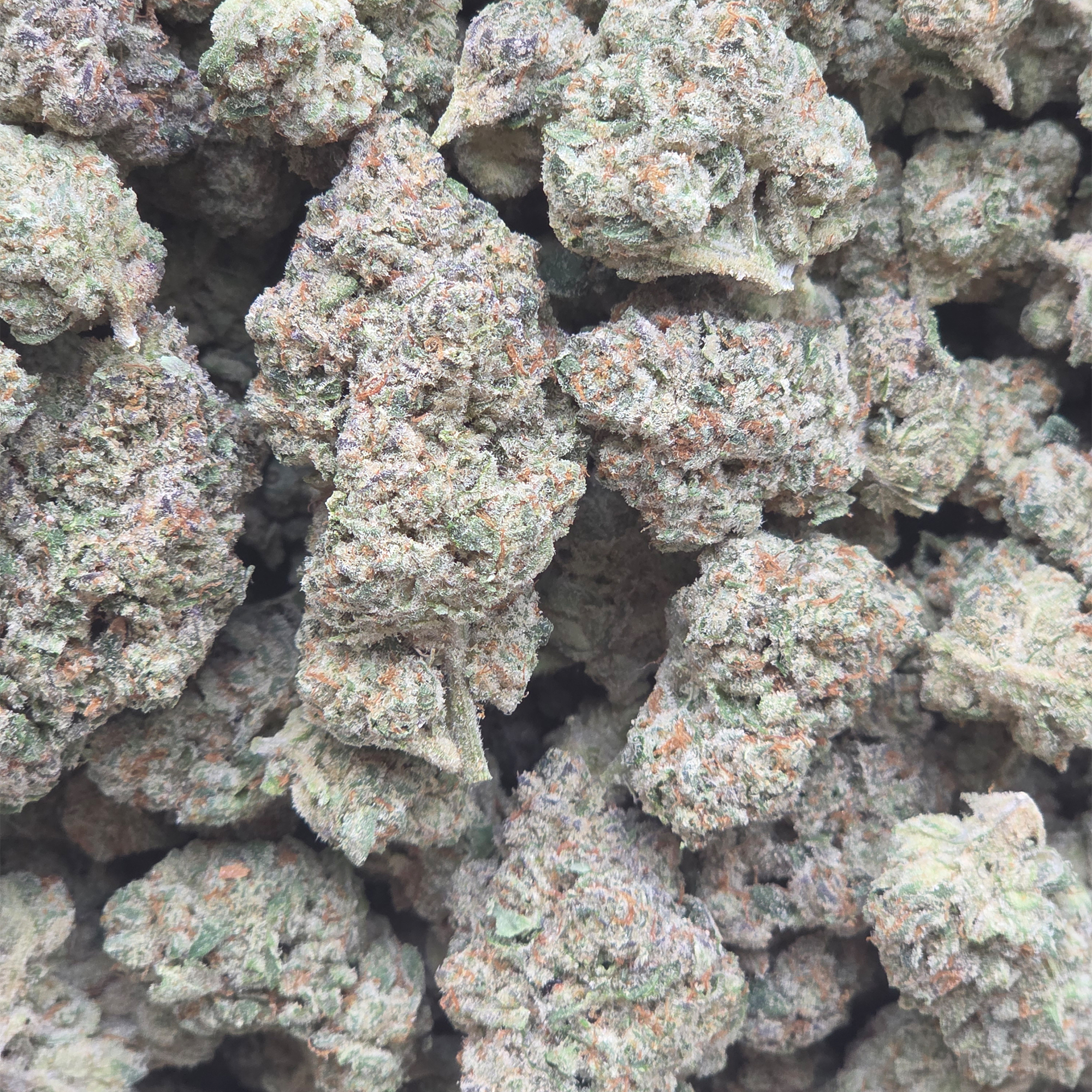 Cap Junky 14g - Top Shelf Indoor