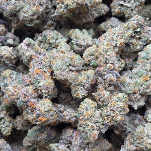 Larry Bird 14g - Top Shelf Indoor