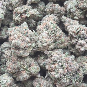 Gelato Kush Mints 14g - Indoor